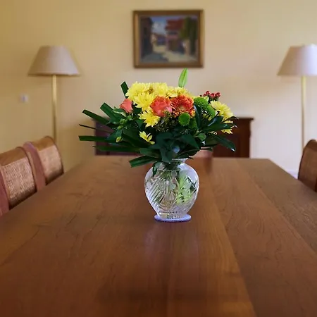 Haus Hohenholz Landhaus, Sauna, Kaminofen, Parkaehnlicher Garten * Krackow