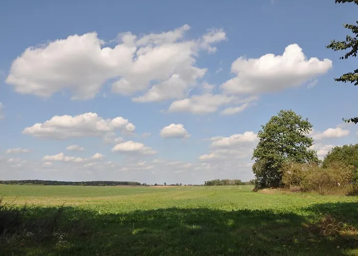 Haus Hohenholz Landhaus, Sauna, Kaminofen, Parkaehnlicher Garten Krackow