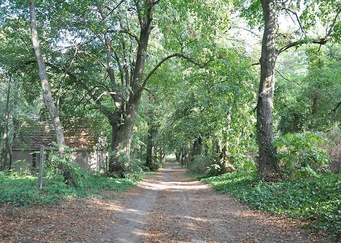 Casa de Férias Haus Hohenholz Landhaus, Sauna, Kaminofen, Parkaehnlicher Garten