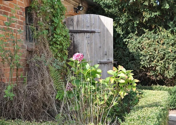 Haus Hohenholz Landhaus, Sauna, Kaminofen, Parkaehnlicher Garten *